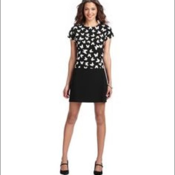 🌺3 for $25🌺Loft - black and white drop waist - Picture 1 of 6